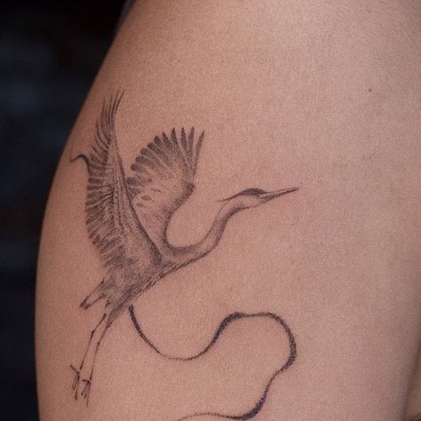 RK ⟡ tattoos on Instagram: "2 buddies 4 evr ˚ ༘♡ ⋆｡˚ blue heron tattoo for Diane.  Thank you so much for your trust 🤍 and sharing your story.  For Diane, a talented photographer and creative.   #herontattoo #stickandpoketattoo #realismtattoo #cranetattoo #nyctattooartist #blueheron #finelinetattoo #handpokedtattoo" Heron With Fish, Herring Tattoo, Egret Tattoo, Blue Heron Tattoo, Quail Tattoo, Blue Bird Tattoo, 2025 Energy, Animal Tattoo Designs, Heron Tattoo