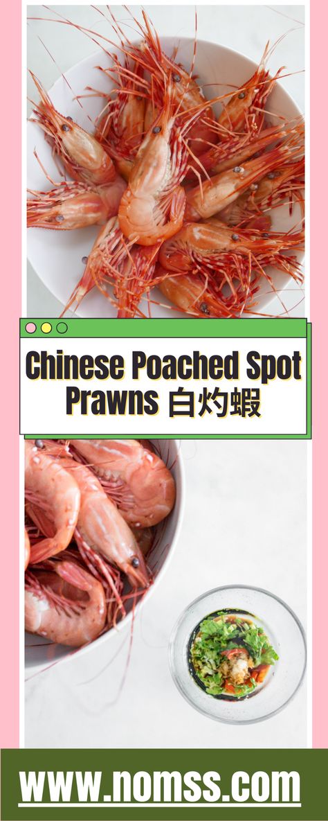 Chinese Poached Spot Prawns 白灼蝦 is one of the simplest and tastiest ways to enjoy the sweet, buttery and delicate flavours of BC Spot Prawns. It takes 5 minutes for Chinese restaurant quality easy recipes at home! Serve and enjoy with plain rice and shrimp dipping sauce! #tigerprawns #easyrecipes #shrimprecipes #boiledshrimp #spotprawnsrecipe #chineserecipes #chinese #blanchedprawns #blanchedshrimp #chineseprawns #chineseshrimprecipes #chinesehealthyrecipes #seafoodrecipes #seafoodrecipeseasy Rice And Shrimp, Chinese Shrimp Recipes, Healthy Salmon Dinner, Shrimp Dipping Sauce, Spot Prawns, Paleo Seafood Recipes, Plain Rice, Easy Home Recipes, Fish Curry Recipe