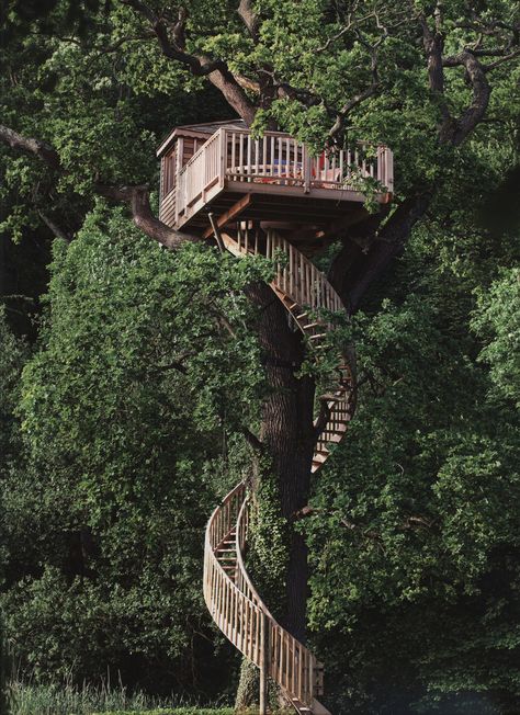 treehouse Tree Lookout, Treehouse Stairs, Aesthetic Treehouse, Two Story Treehouse, Forest Treehouse Aesthetic, Jungle Treehouse Aesthetic, Tree House In 25' Tree, Beautiful Tree Houses, Tree Fort