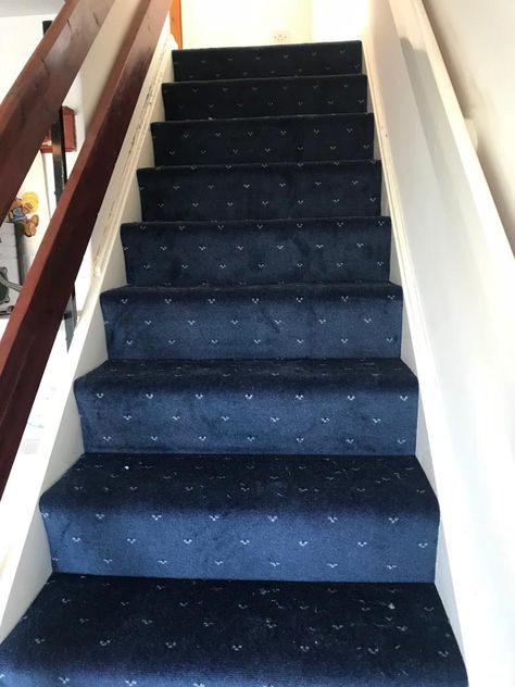 This wilton carpet from Lifestyle floors brings lots of colour to a neutral stairs area. The Riverside range comes in a variety of colours from reds to greens.  (Pictured: Riverside Carpet colour Cobalt) Blue Carpet Stairs, Neutral Stairs, Stairs Carpet Ideas, Blue Stairs, Navy Carpet, Stairs Carpet, Wilton Carpet, Stanton Carpet, Wall Blue