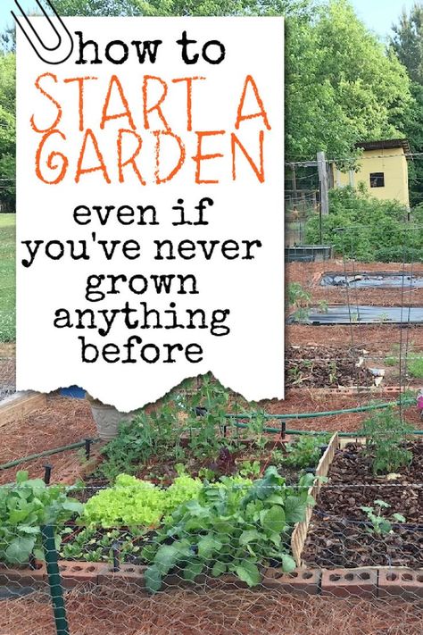 a spring garden with lettuce and radishes Design A Vegetable Garden, How To Start A Food Garden, Vegetable Garden Set Up, How To Start Vegetable Garden, How To Lay Out A Vegetable Garden, How To Start A Garden, Garden In The Ground, In Ground Garden, Countryside Backyard