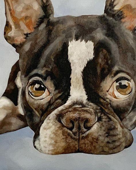 Bostons will always be one of my faves. GIZMO is up for adoption 61 x 51cm / oil on canvas :) . . . . #bostonterriersofinstagram #bostonterrierlove #bostonportraits #oilpainting #traditionalart #animalartist #dogportrait #squishynose #homedecor #artcollector #commissionedartwork #tassieartist Boston Terrier Painting, Boston Terrier Christmas, Pet Portrait Paintings, Pet Paintings, Wrote A Book, Painting Animals, Greyhound Art, Portraits Art, Animal Portraits Art