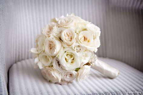 classic ivory bridal bouquet elegant wedding flowers Gardenia Bridal Bouquet, Rose Buket, White Rose Bridal Bouquet, Ivory Bridal Bouquet, White Rose Wedding Bouquet, Elegant Wedding Flowers, White Rose Bouquet, White Roses Wedding, Rose Bridal Bouquet