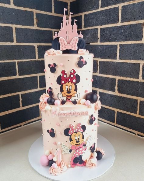 Sandra's Cakes (@sandrascakes.co) • Instagram photos and videos Minnie Mouse Bowtique Birthday Cake, Birthday Cake Minnie Mouse Pink, 3d Minnie Mouse Cake, Minnie Boutique, Cake Decorating For Kids, Disneyland Party, Light Pink Minnie Mouse Cake, Minnie Mouse Birthday Cake, Minnie Mouse Birthday Theme