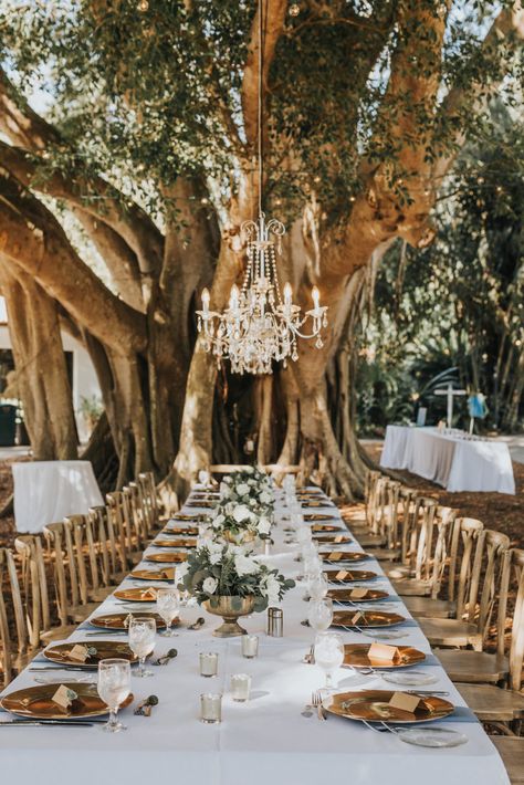 Romantic Rustic Outdoor Garden Wedding Reception | Sarasota Marie Selby Botanical Gardens | Gold Chargers and French Country Wooden Reception Chairs | Crystal Chandeliers Hanging from Trees | Sarasota Wedding Planner Taylored Affairs Ryan Ashley, St Pete Wedding, Garden Wedding Reception, Botanical Gardens Wedding, Wedding Vendor, Outdoor Reception, Botanical Wedding, Wedding Dj, Red Wedding