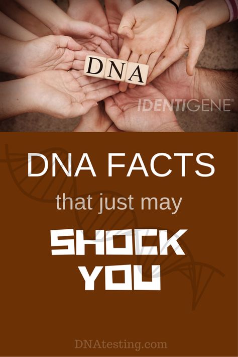 Paternity Test Results, Dna Facts, Dna Fingerprinting, Medical Assistant Student, Dna Test Results, Hair Facts, Facts About Humans, Dna Testing, Living Organisms