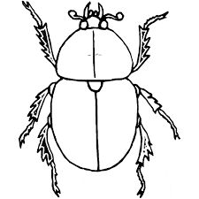 Dung Beetle coloring page - Animals Town - animals color sheet - Dung Beetle free printable coloring pages animals Beetle Coloring Page, Big Beetle, Free Place Card Template, Beetle Drawing, Dung Beetle, Super Mario Coloring Pages, Beetle Tattoo, Bug Coloring Pages, Bugs Life