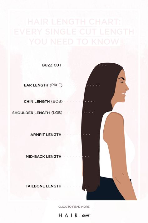 Types Of Hair Lengths, Long Hair Length Chart, Tailbone Hair Length, Tailbone Length Hair Styles, Hair Growth Chart In Months, Fox Haircut Long Hair, Length Of Hair Chart, Lengths Of Hair Chart, Different Lengths Of Hair Chart