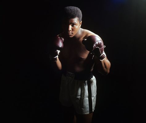 Neil Leifer, Muhammad Ali Boxing, Muhammad Ali Quotes, Muhammed Ali, Boxing History, Mohammed Ali, Float Like A Butterfly, Professional Boxer, Sports Figures