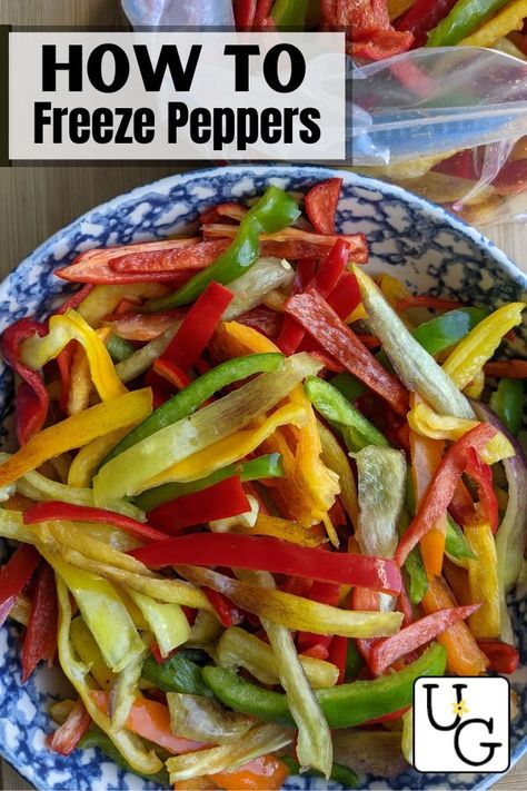 Freeze Bell Peppers, How To Freeze Peppers, Freeze Peppers, Freezing Peppers, Fried Peppers, Quick Meal Prep, Fajita Recipe, Quick Meal, Spice Recipes