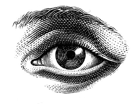 Eyes In The Back Of My Head, Vintage Eye Illustration, Eye Engraving, Pen And Ink Illustrations, Vintage Eyes, Scratchboard Illustration, Eyes Illustration, Woodcut Tattoo, Eye Illustration