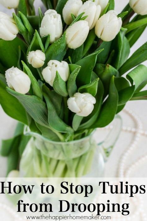 how to stop tulips from drooping- tip #4 made all the difference! Flower Tips, Flowers Last Longer, Diy Container Gardening, Container Garden Design, Gardening 101, Spring Tulips, White Tulips, Stay Fresh, Belleza Natural