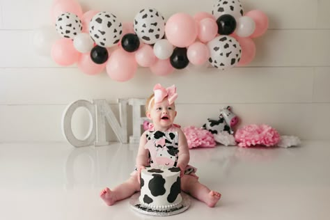 Cow 1st Birthday Pictures, Farm Theme Cake Smash Photo Shoot, Cow Cake Smash Photography, Cowgirl Cake Smash Photography, Cow Smash Cake Photoshoot, Cow 1st Birthday Photoshoot, Cow Birthday Photoshoot, Cow Cake Smash 1st Birthdays, Cow First Birthday Pictures