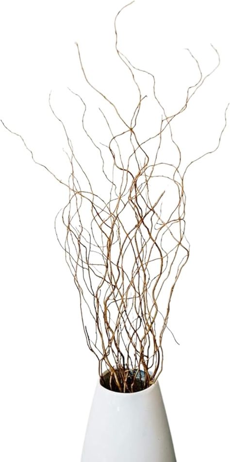 Amazon.com: Green Floral Crafts | 12 Stem Dried Curly Willow Branches 3-4 Feet Tall - Perfect Home Decoration and Floor Vase Filler (Natural) : Arts, Crafts & Sewing Curly Willow Branches, Floor Vase Fillers, Floral Crafts, Curly Willow, Willow Branches, Floral Craft, Floor Vase, Amazon Art, Perfect Home