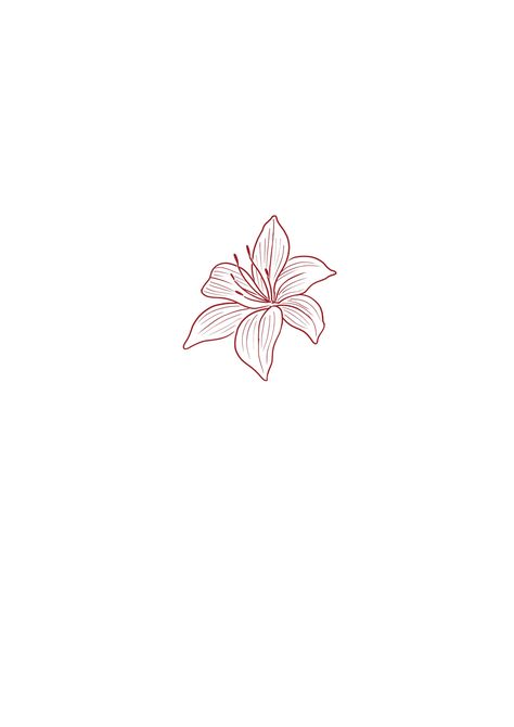 Red Ink Floral Tattoo, Simple Feminine Tattoos, Flower Tattoo On Ribs, Small Rib Tattoos, Lillies Tattoo, Tattoo Thoughts, Small Pretty Tattoos, Petite Tattoos, Red Ink Tattoos