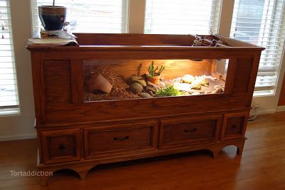 Our tortoise table is finally finished, with the top 'tort fort' habitat, and the bottom storage dresser. I also rearranged the inside a little. Russian Tortoise Diet, Tortoise Food, Tortoise House, Tortoise Enclosure, Tortoise Table, Russian Tortoise, Tortoise Care, Tortoise Habitat, Turtle Habitat