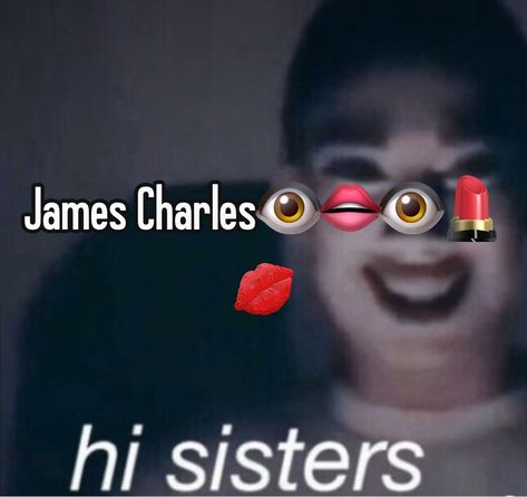 hI sIStErS Nooran Sisters, Sister Meme, Hi Sisters, Sisters Movie, Funny Sister, Sisters Funny, James Charles, Really Funny Memes, Really Funny