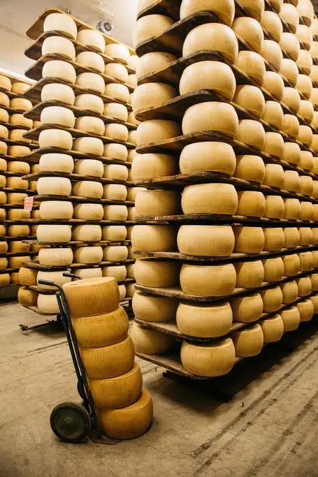 The Secrets of Parmigiano Reggiano - Airbnb Lambrusco Wine, Dairy Snacks, Milk Processing, Types Of Vinegar, Cheese Store, Making Cheese, Cheese Wheel, Cheese Factory, Yummy Ice Cream