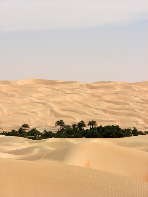 Deserts Of The World, Vientiane, Palm Desert, Liberia, Sand Dunes, Nature Aesthetic, Pretty Places, Travel Inspo, Sierra Leone