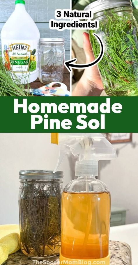 This DIY pine needle cleaner breaks down grime, wipes away clean, and leaves a fresh pine scent! It’s easy to make with simple, natural ingredients! Pine Tree Cleaner, All Natural Pine Cleaner, Diy Natural Pine Cleaner, Homemade Pine Needle Cleaner, Pine Vinegar Cleaner, Natural Pine Cleaner, Diy Pine Needle Cleaner, Diy Pine Sol, Diy Pine Sol Cleaner