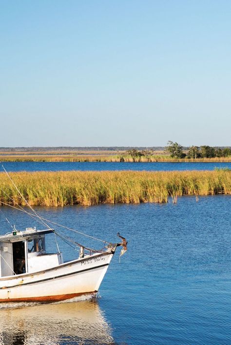 Apalachicola is brimming with charm. From relaxing in a historic inn, to savoring oysters, to discovering remote beaches, here are our top picks. #apalachicola #florida #vacation #southernvacations #thingstodoinflorida #southernliving Apalachicola Florida, Southern Road Trips, River Town, Southern Travel, Antebellum Homes, Florida Photography, Mexico Beach, Travel Recommendations, San Blas