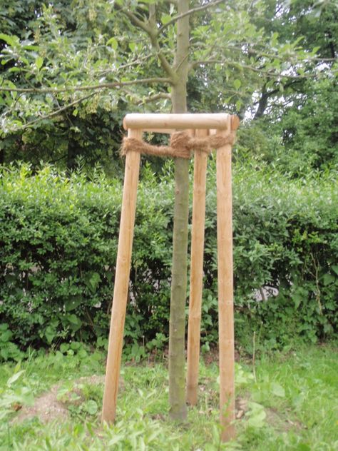 Tree Grate, Tree Stakes, Tree Support, Hardware Cloth, Japan Garden, Tree Care, Landscape Projects, Fruit Trees, Garden Party