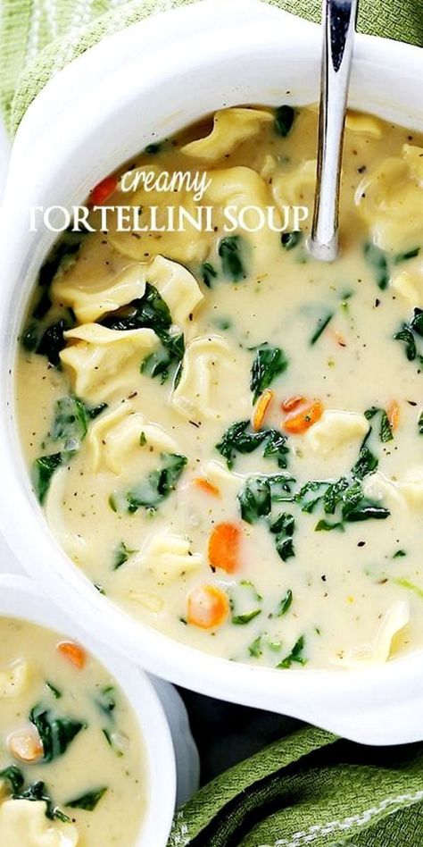 Creamy Tortellini Soup is a quick, easy, and deliciously creamy soup packed with cheesy tortellini and fresh spinach. #vegetarian #meatless #pasta #soups Easy Homemade Soups, Cheesy Tortellini, Creamy Tortellini, Creamy Tortellini Soup, Spinach Tortellini Soup, Creamy Soup Recipes, Spinach Tortellini, Tortellini Recipes, Vegetarian Soup Recipes