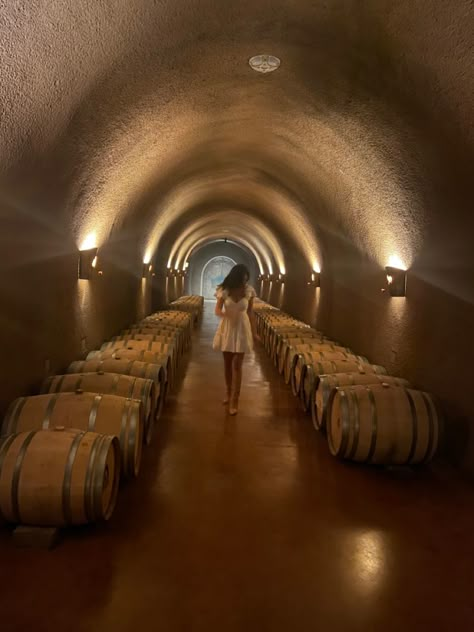 Wine Vineyard Aesthetic, Napa California Aesthetic, Napa Valley Aesthetic, Napa Aesthetic, Wine Vineyard Outfit, Winery Aesthetics, Wine Tour Bachelorette, Vineyard Aesthetic, Vineyard Outfit