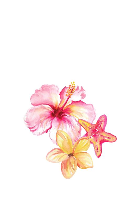 Wallpaper Backgrounds Flowers Pink, Aesthetic Wallpaper Lock And Home Screen, Beach Flowers Aesthetic, Hibiscus Flower Aesthetic, Hibiscus Flower Wallpaper Aesthetic, Hibiscus Flower Wallpaper, Pink Flower Background, Mooi Prentjies, Pink Flowers Background