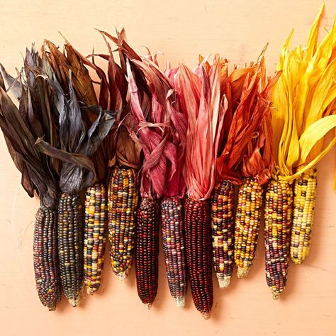 Dyed corn husks: You can dye husks on ears of dried corn to make radiant centerpieces or mantel displays, or use just the husks for the crafts on the next slides. No, you won't have to shuck a mountain of corn-instead, buy an inexpensive package of tamale wrappers at a Mexican market or online. Full instructions and crafts ideas at our story. Corn Husk Crafts, Corn Husk Wreath, Corn Husks, Diy Dye, Straw Wreath, Dried Corn, Indian Corn, Glass Cylinder Vases, Easy Candles