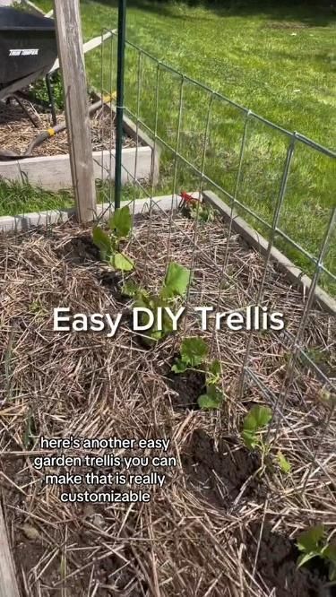 vegetable garden trellis ideas tomato cages
trellis ideas for vegetable garden || outdoor trellis ideas Bean Trellis Diy, Green Bean Trellis, Outdoor Trellis Ideas, Grow Vertically, Bean Trellis, Garden Trellis Fence, Home Vibes, Cucumber Trellis, Backyard Garden Diy