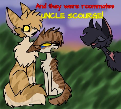 Mothwing And Leafpool, Leafpool X Mothwing, Warrior Code, Warrior Cats Scourge, They Were Roommates, Moth Wings, Cats Videos, Warriors Cats, Warrior Cats Art