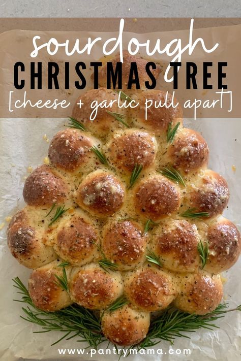 Sour Dough Bread Dinner Ideas, Christmas Tree Scored Sourdough, Sourdough Bread With Discard, Sourdough Cut Designs Christmas, Sourdough Appitzer, Pull Apart Sourdough Cheese Bread, Pull Apart Sourdough Garlic Bread, Sourdough Christmas Tree Bread, Sourdough Christmas Wreath