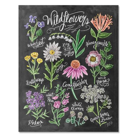 Illustrations, paintings, lettering and typography featuring and about flowers, gardening and nature. Gifts for the gardener or flower lover by Artist Valerie McKeehan of Lily & Val. Perfect for home, office, dorm room, she-shed, or bedroom. Trendy artwork, cavas, prints and signs. Spring Flowers Chalkboard Art, Floral Chalkboard Art, Flower Chalkboard Art, Flower Chalk Art, Chalkboard Mural, Classroom Painting, Spring Chalkboard Art, Daisy Bouquets, Chalkboard Illustration