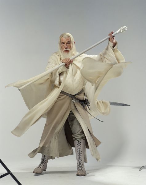 Gandalf The White, Sir Ian Mckellen, Tolkien Hobbit, Hugo Weaving, The Hobbit Movies, Ian Mckellen, The Two Towers, Karl Urban, Human Poses Reference