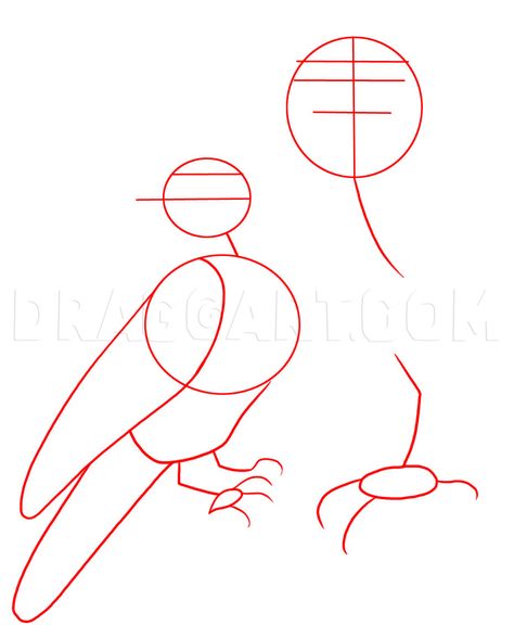 Draw A Raven Step By Step, Raven Drawing Tutorial, How To Draw A Raven, Crow Sculpture, Spooky Drawings, Drawing Tutorials For Beginners, Raven Art, Drawing Guide, Easy Canvas