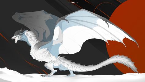 White Wyvern, Wyvern Art, Dragon Anatomy, Dragon Born, Mythical Creatures Fantasy, Got Dragons, Dragon Artwork Fantasy, Flying Dragon, Fantasy Beasts