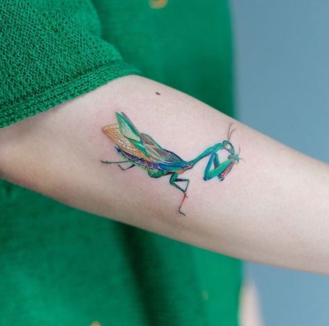 Praying Mantis Tattoo, Mantis Tattoo, Insect Tattoo, Bug Tattoo, Tattoo Prices, Unique Tattoo Designs, Praying Mantis, Tattoo S, Creative Tattoos