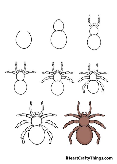 How to Draw A Spider – A Step by Step Guide How To Draw A Jumping Spider, Spider How To Draw, How To Draw A Spider Step By Step, Spider Sketch Easy, How To Draw Spider, Spider Easy Drawing, Drawing A Spider, Halloween Spider Drawing, How To Draw A Spider