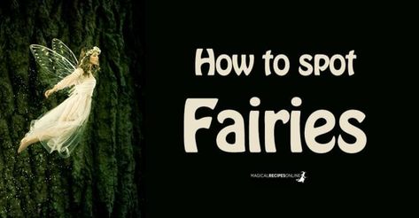 Are Fairies Real, Household Spirits, Magical Recipes, Every Witch Way, Spirit Magic, Fire Fairy, Nature Magic, Real Fairies, Fairy Stories