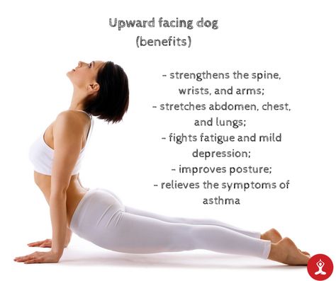 Upward Facing Dog Pose, Acro Yoga Poses, Yoga Poses For 2, Upward Dog, Yoga Teacher Resources, Iphone Image, Air Yoga, Yoga Poses For Men, Upward Facing Dog