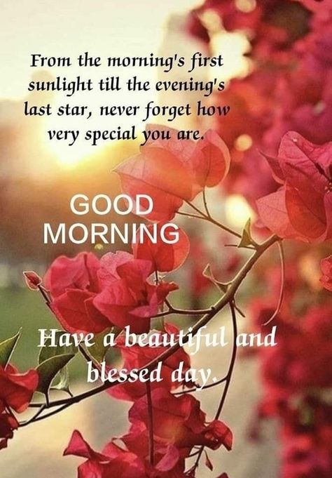 Wishing You A Beautiful Day, Positive Good Morning Quotes Inspiration Beautiful, Thursday Quotes Good Morning, Good Morning Inspirational Images, Fall Poems, Weekly Motivation, Morning Babe, Beautiful Good Morning Wishes, Morning Sayings