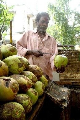 tender coconut vendor Nariyal Pani, India Street Food, Street Food India, Trinidadian Recipes, Tender Coconut, Coco Cabana, India Street, Benefits Of Coconut, Coconut Health Benefits