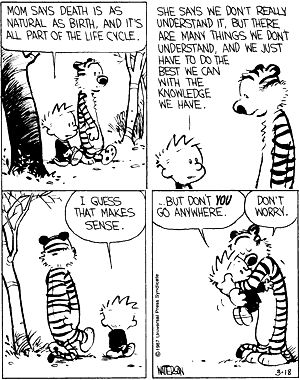 Calvin & Hobbes Hobbes And Bacon, Calvin And Hobbes Quotes, Calvin And Hobbes Comics, Calvin Hobbes, Comic Relief, After Life, A Tiger, Calvin And Hobbes, Fun Comics