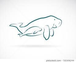 Dugong Tattoo, Simple Manatee Tattoo, Manatee Tattoo, Turtle Drawing, A Rat, Dream Tattoos, Fine Line Tattoos, Line Tattoos, Pretty Tattoos