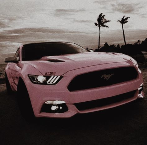 Pink Mustang Aesthetic, Hot Pink Mustang, Porchse Cars Wallpaper, Pink Sports Cars, Pink Ford Mustang, Aesthetic Mustang, Sports Cars Aesthetic, Mustangs Cars, Mustang Aesthetic