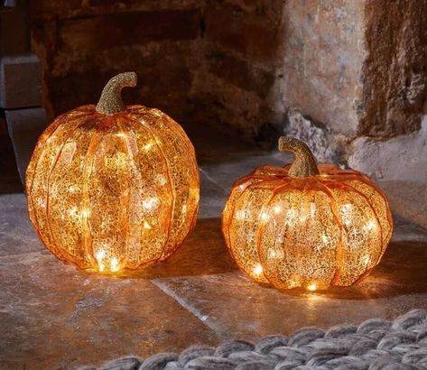 ✨🎃 Last year's best seller is back in two stunning designs! Our Light Up LED Pumpkin Orange Ornaments are perfect for adding a warm, festive glow to your Halloween setup. 🧡 Limited stock – don’t miss out on this must-have seasonal décor! . . . . . . . #halloweendecor #Halloween #halloween #Halloween2024 #halloweenparty #HalloweenDecor #halloweendecor #autumn #autumn #autumnvibes #autumnvibes #autumnvibes🍁 #autumnmood #autumnstyle #autumncolors #autumnleaves #LED #ledlights #lightup #pumpkin... Mercury Black, Orange Ornaments, Light Up Pumpkins, Black Pumpkin, Outdoor Mirror, Fall Garland, Candle Plate, Mirror Ornaments, Glass Pumpkins