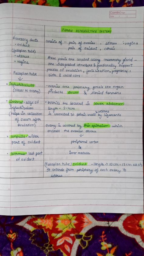 Ncert#notes#biology#humanreproductionnotes#aestheticnotes Human Reproduction Notes Class 12 Ncert, Clean Notes For School, Biology Ncert Book Highlights, Pharmacy Knowledge, Ncert Biology, Notes Biology, Neet Preparation, Physics Facts, Human Reproduction