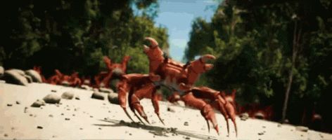 Crab Rave Animation GIF - Crab Rave Animation Sand - Discover & Share GIFs Crab Meme, Crab Rave, Sand Island, Animation Gif, Dancing Gif, Pose Reference Photo, Internet Funny, Edgy Memes, Water Park