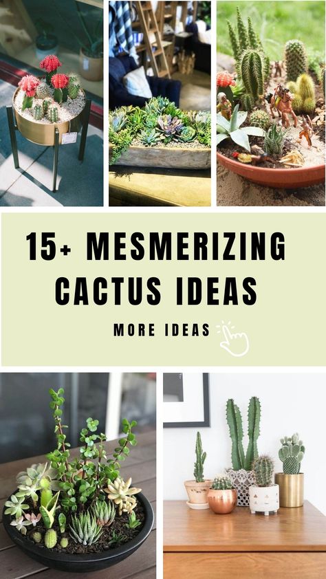 Cactus Arrangements Ideas, Dish Garden Ideas, Indoor Cactus Garden, Cactus Ideas, Container Arrangements, Mini Desert, Dish Gardens, Cactus Arrangement, Vertical Succulent Gardens